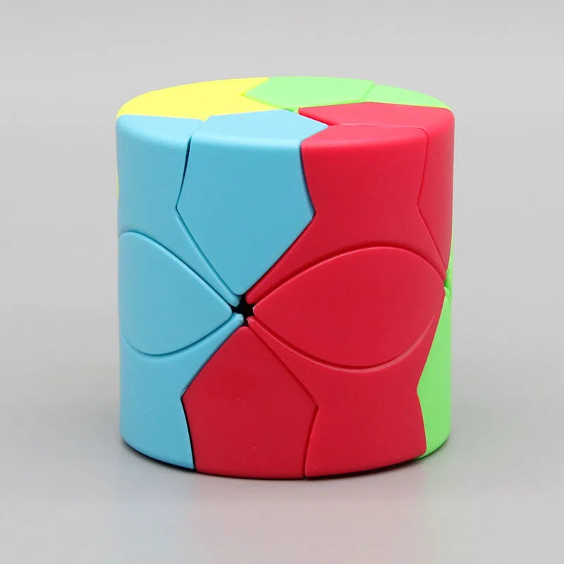 Fanxin X Cube Professional Puzzle Toys Colorful 2x2 X Redi 3x3 Magic Cube For Children Kids Gift Cubo Magico Toy
